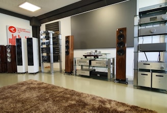 A spacious audio equipment showroom featuring a variety of high-end sound systems. Several tall speakers are aligned against the walls, displaying sleek wooden and metallic finishes. Electronics such as amplifiers and receivers are arranged on modern glass shelves, and a large, plush brown rug covers the floor. A sign on the left side suggests a focus on luxury electronics.